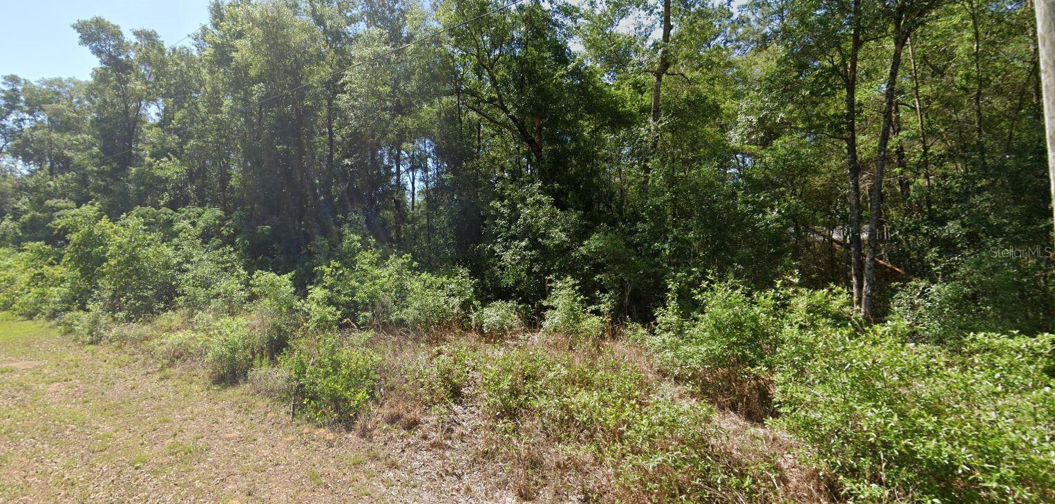 The perfect spot to build your dream home. Rainbow Lakes Estates offers a boat ramp, community center, and a park with a playground and basketball courts—all with no HOA fees. You’ll feel tucked away from the noise of everyday life, yet still close to Dunnellon and Ocala. Just minutes from Rainbow River and endless outdoor activities. With only a handful of homes nearby, this lot is ideal if privacy and space are at the top of your list.