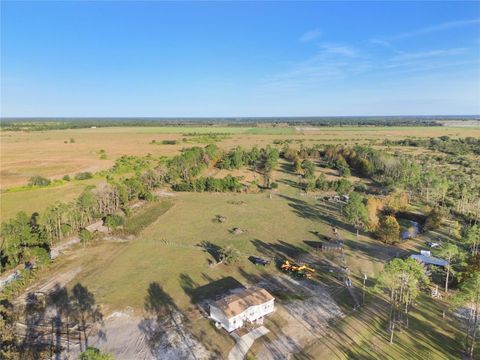 Photo of 10989 NW Lily County Line Road, Ona, FL 33865 (MLS # A4673958)