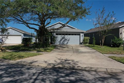 A home in RIVERVIEW