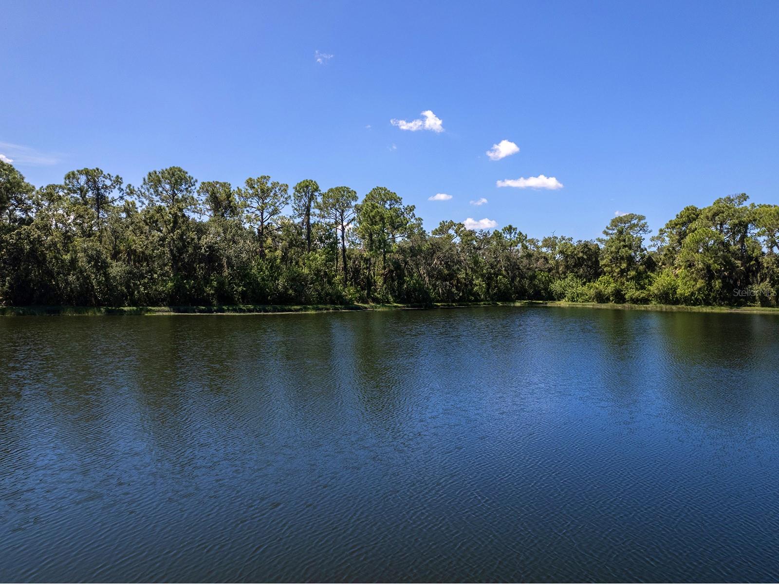 LAKEWOOD RANCH COUNTRY CLUB VILLAGE C 3 - Residential
