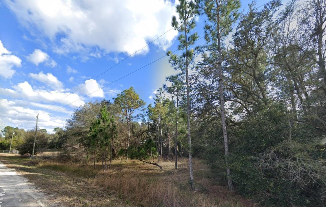 Charming 1.16 Acre Homesite!! NO HOA!! Perfectly Situated in Ridge Manor which allows for Seamless Commute Throughout Central Florida to Tampa, Orlando and Ocala Areas with Easily via 301, I-75 and Highway 50 Access. Enjoy a True Florida Lifestyle Filled with Fishing, Hiking, Boating, Hunting and even ATV Adventures Nearby! Just Outside of the City this Homesite Offers Incredible Secluded Country Charm while Still Close to Shopping and Dining Options!! Come Build Your Dream Home or Create a Secondary Retreat to Escape the Hustle & Bustle and Rejuvenate Amongst Nature! Looking to be a Part of Florida’s Booming Land Market, This Could Be Your Chance! 88 Majority of the Lot is NOT in a Flood Zone**