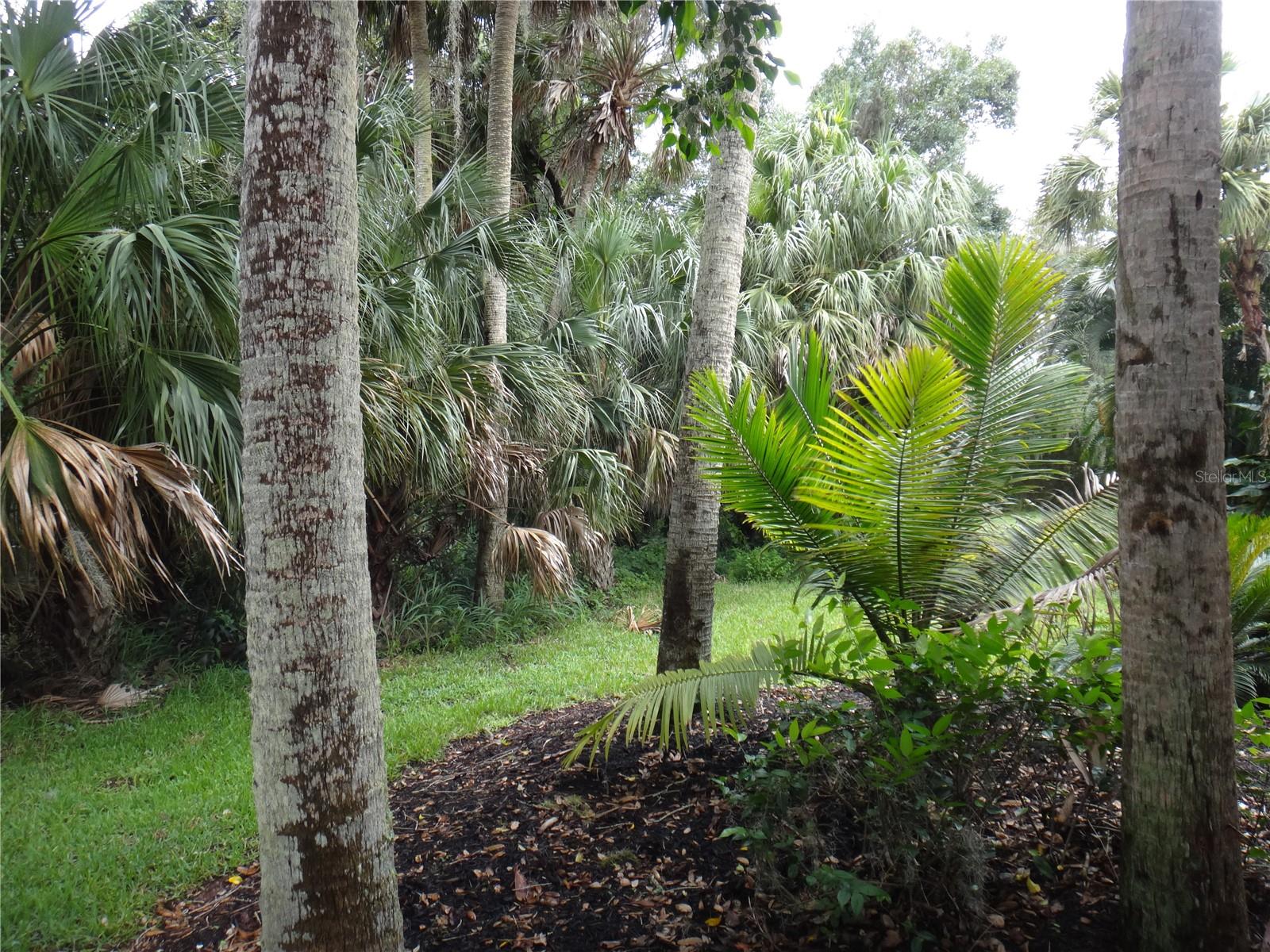 WATERLEFE GOLF & RIVER CLUB - Residential Lease