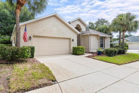 A home in PALM COAST