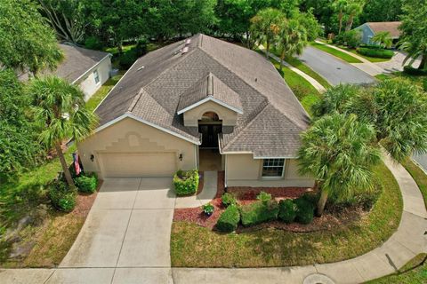 A home in PALM COAST