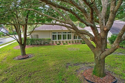 A home in PALM COAST