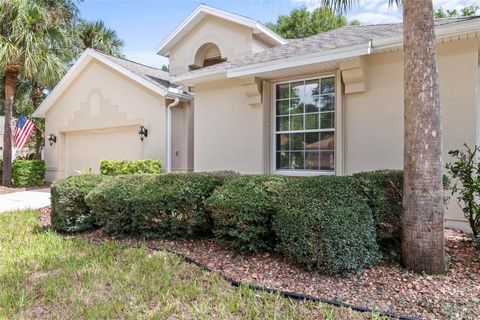 A home in PALM COAST