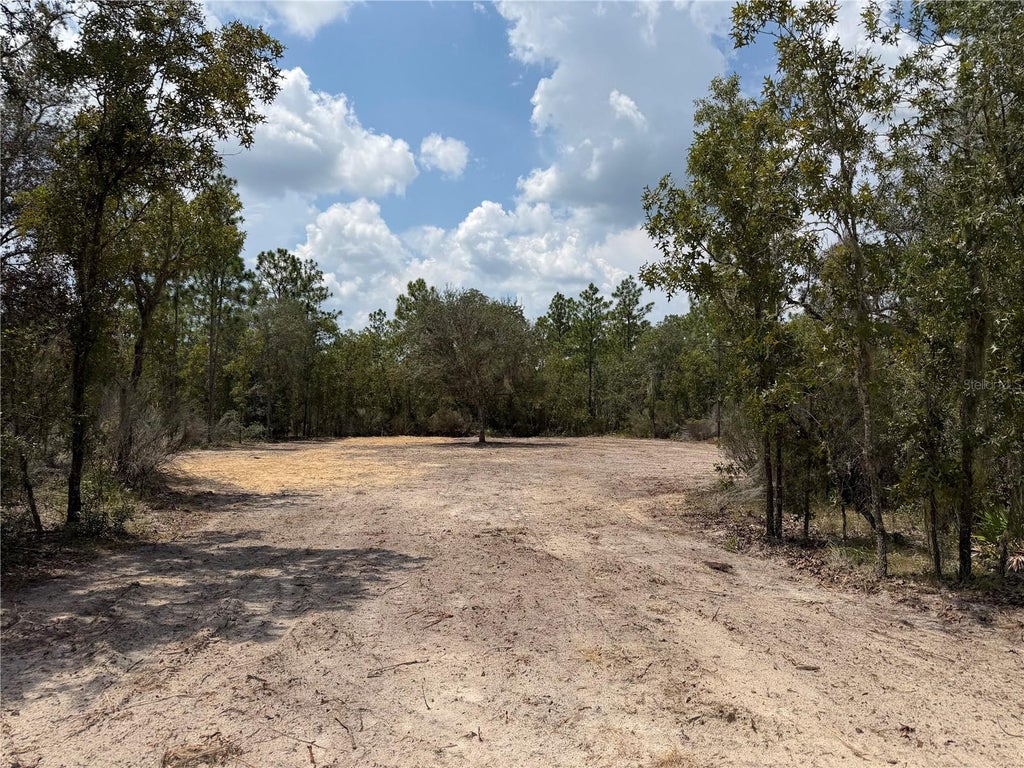 Photo of Tbd NE 101st Street, Archer, FL 32618 (MLS # GC543036)