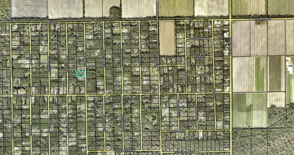 Photo of 1396 Hickory Street, Bunnell, FL 32110 (MLS # FC320593)
