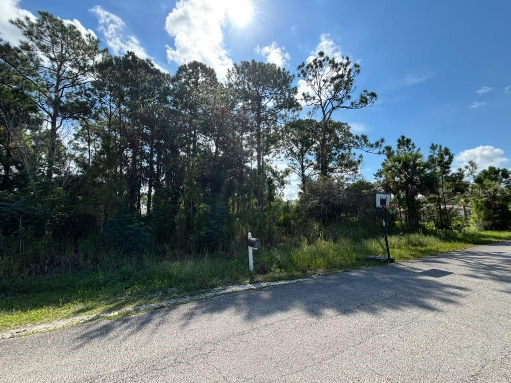 473 WAYLAND ROAD SW