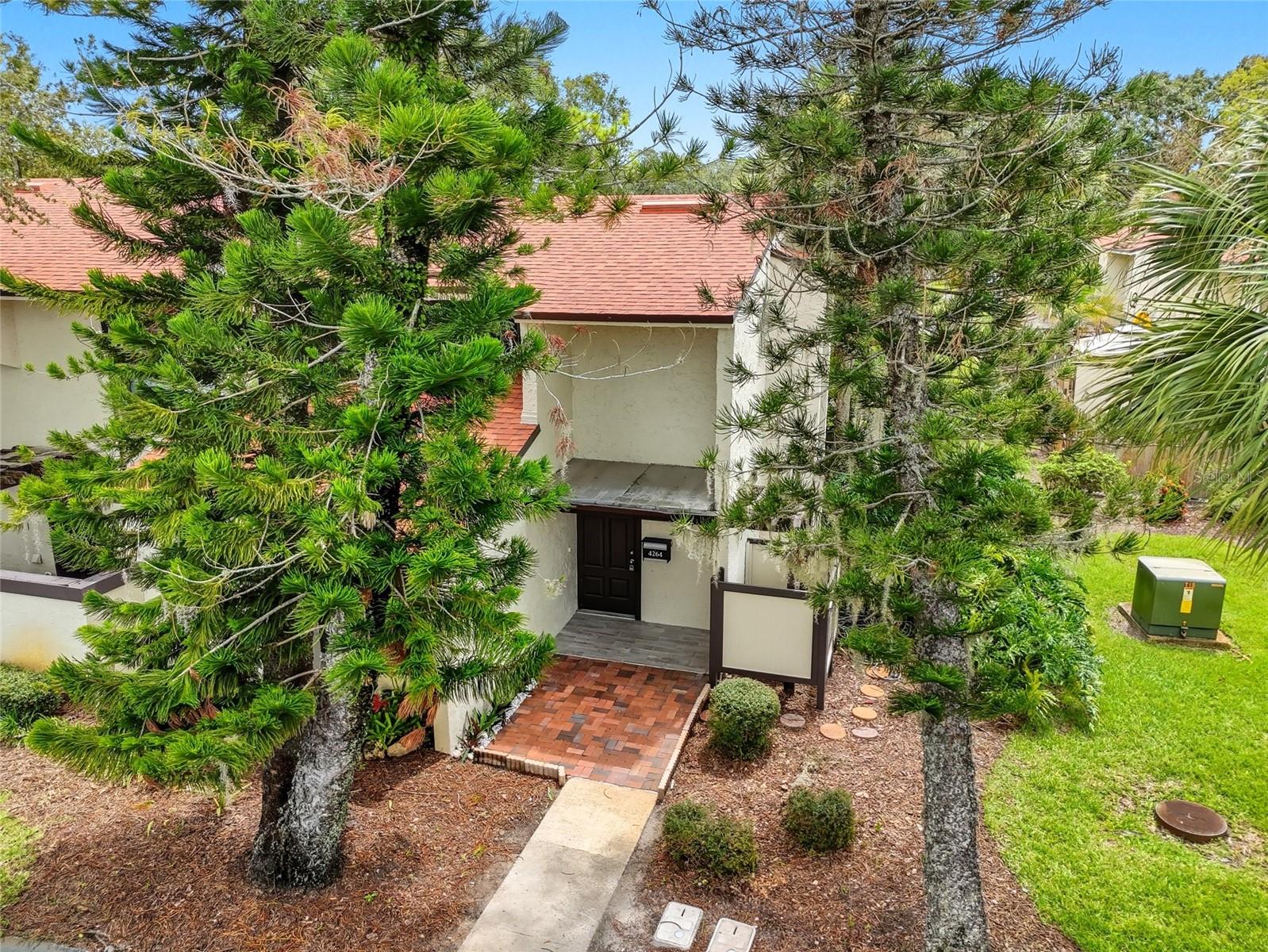 4264 PLAYER CIRCLE 126