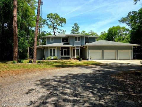 Photo of 2975 E Withlacoochee Trail, Dunnellon, FL 34434 (MLS # TB8499220)