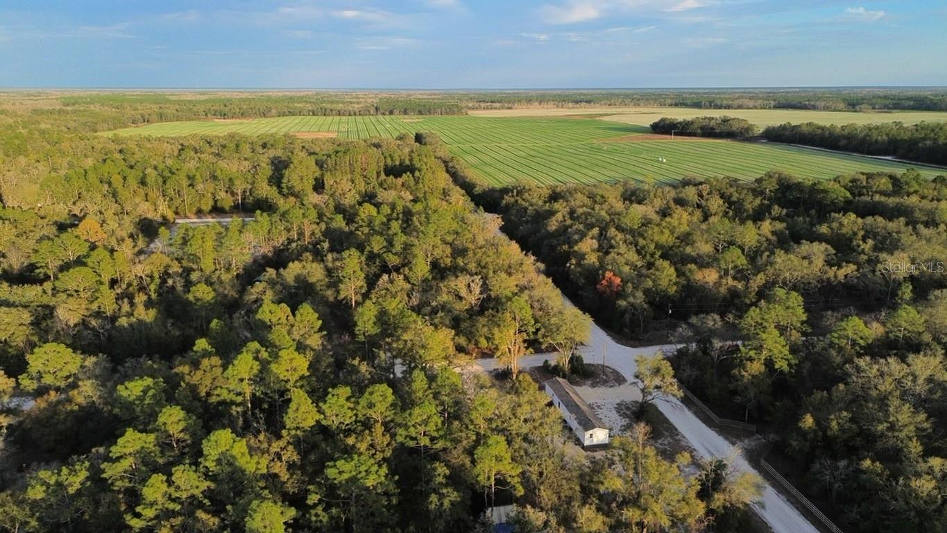 SUWANNEE RIVER ESTATES - Residential