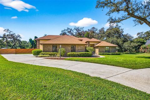 2401 NATURES COURT VALRICO FL 33596