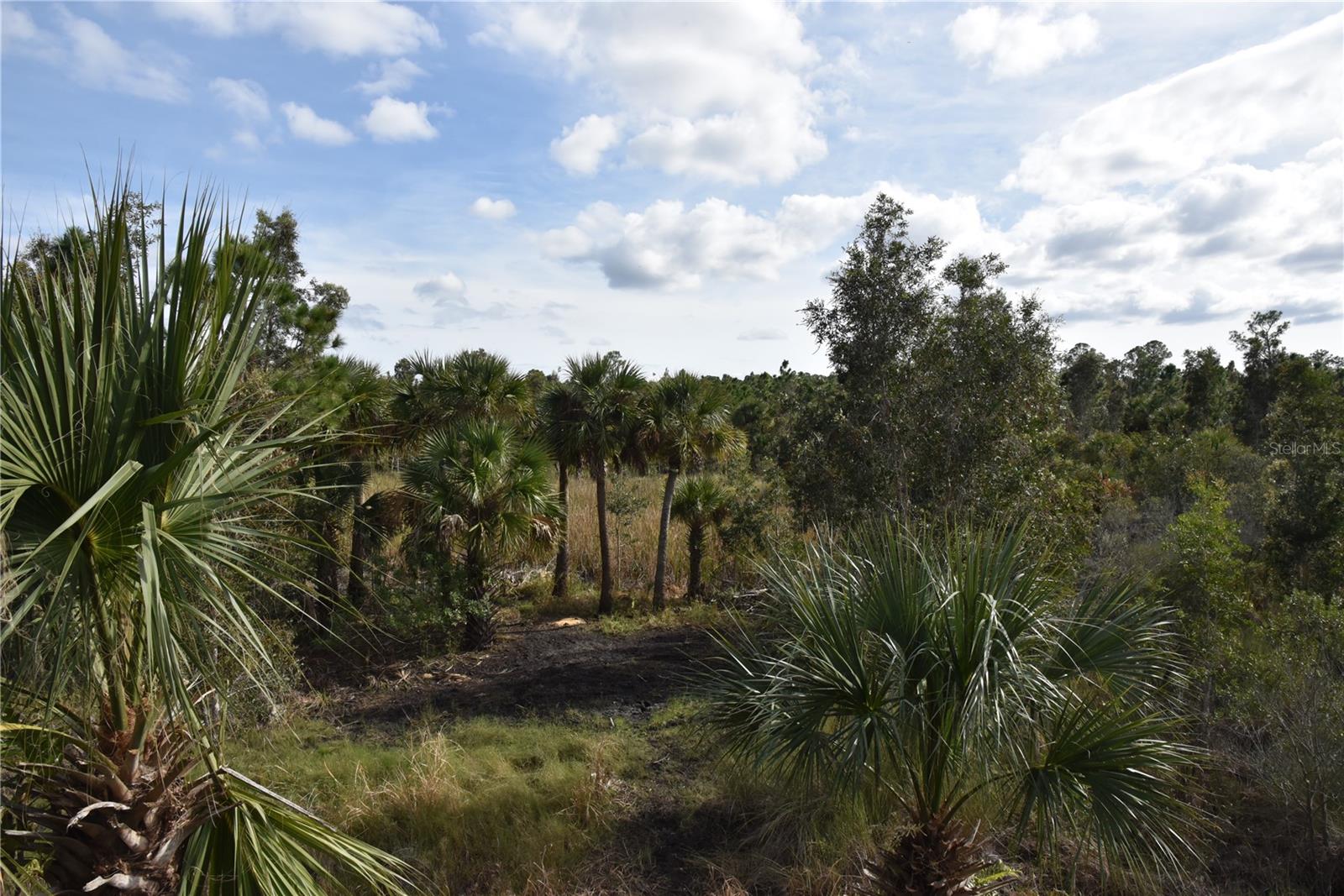 INDEPENDENCE FARMS - Land