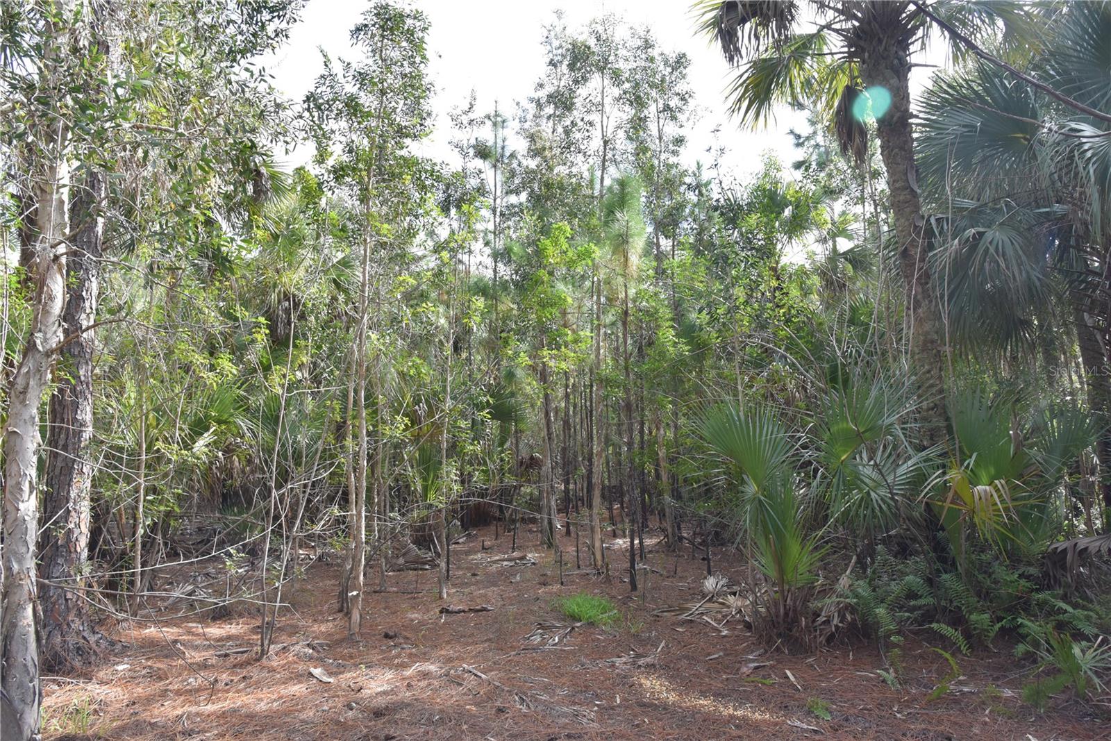 INDEPENDENCE FARMS - Land