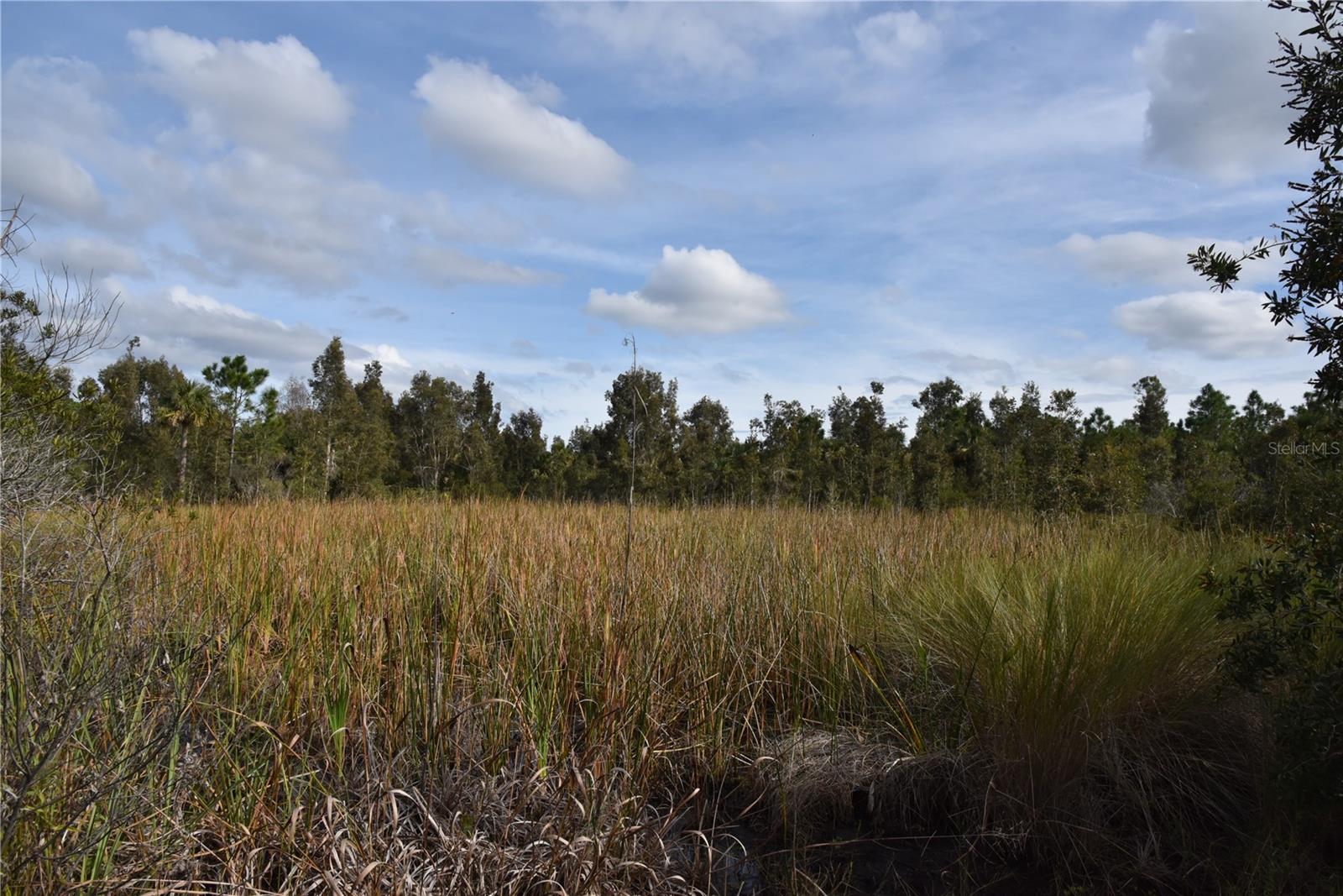 INDEPENDENCE FARMS - Land