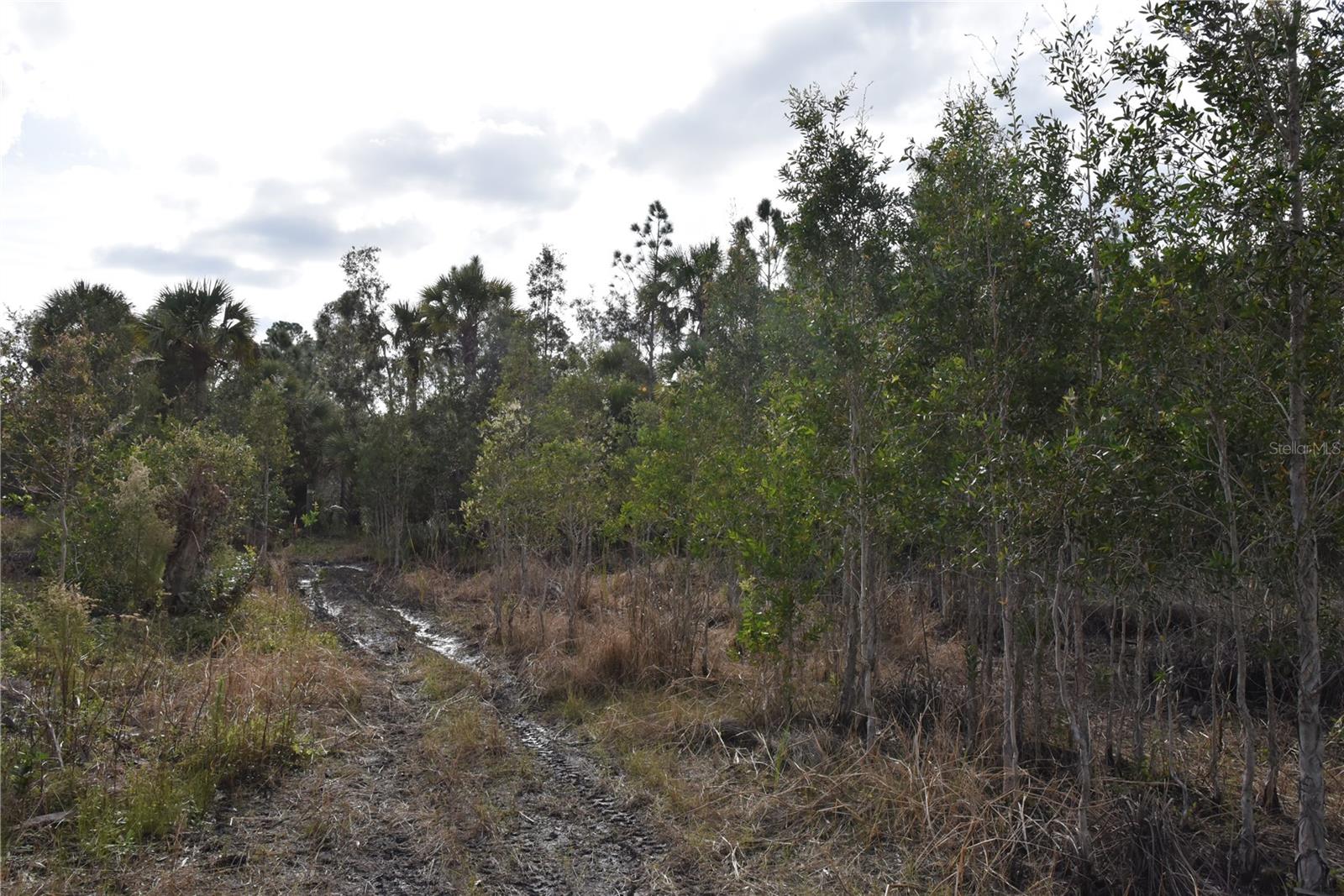 INDEPENDENCE FARMS - Land