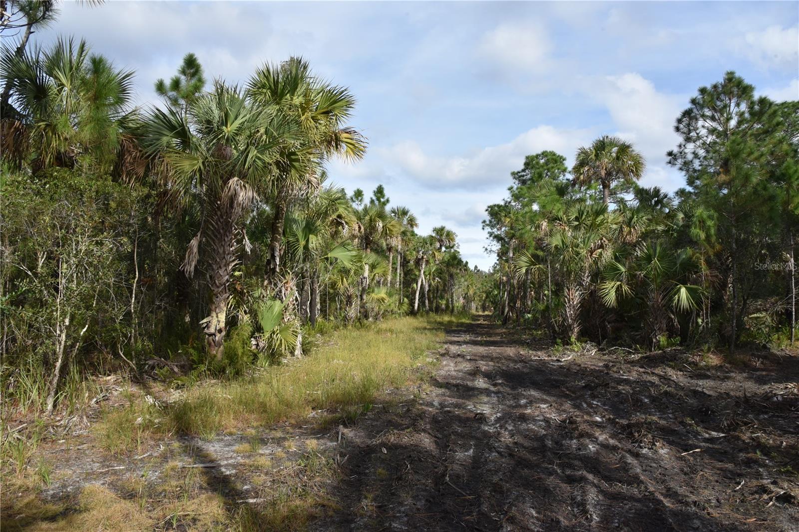 INDEPENDENCE FARMS - Land