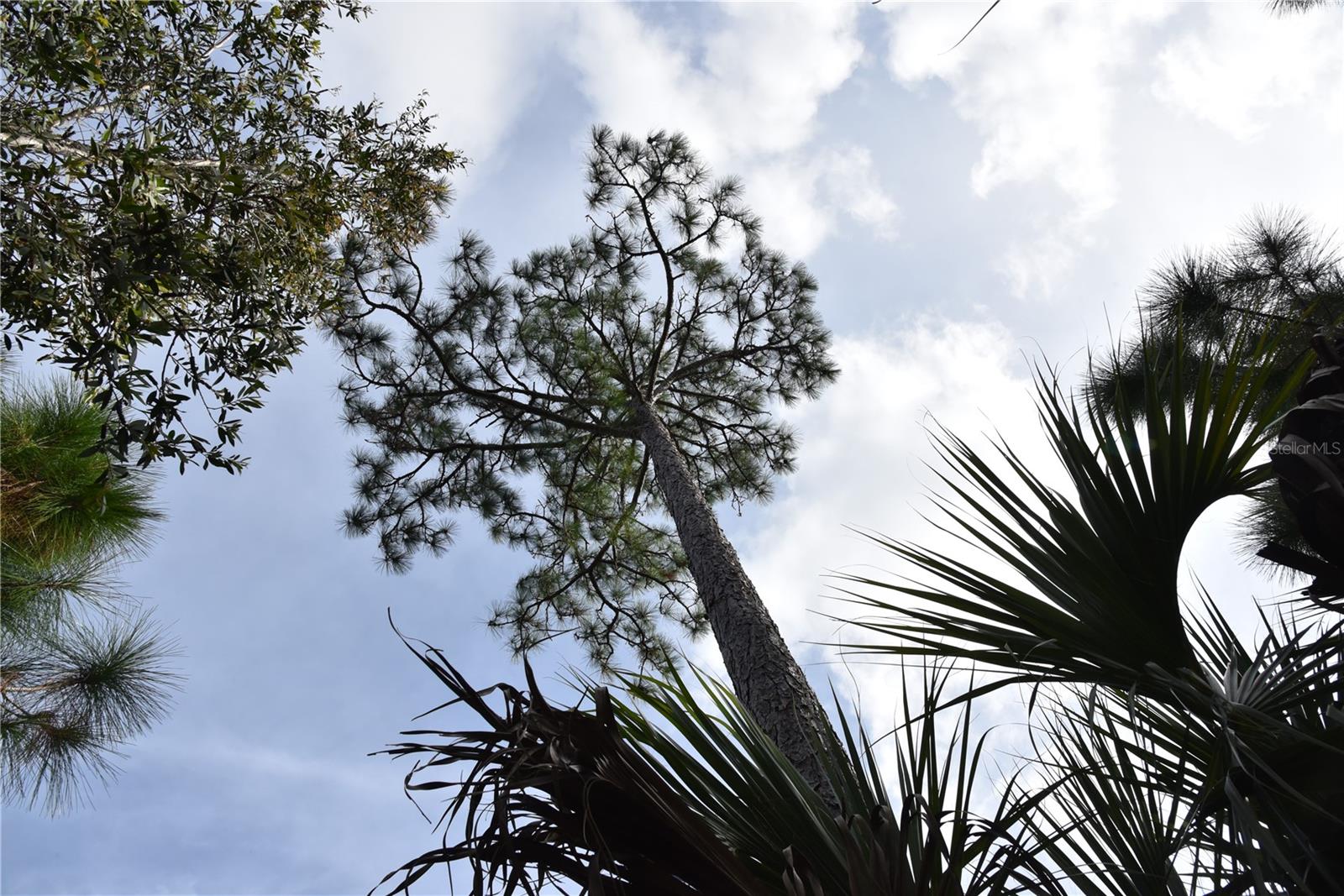 INDEPENDENCE FARMS - Land