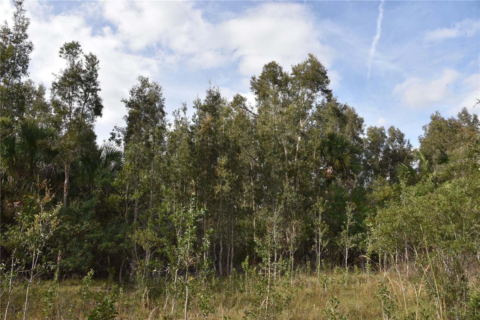 INDEPENDENCE FARMS - Land