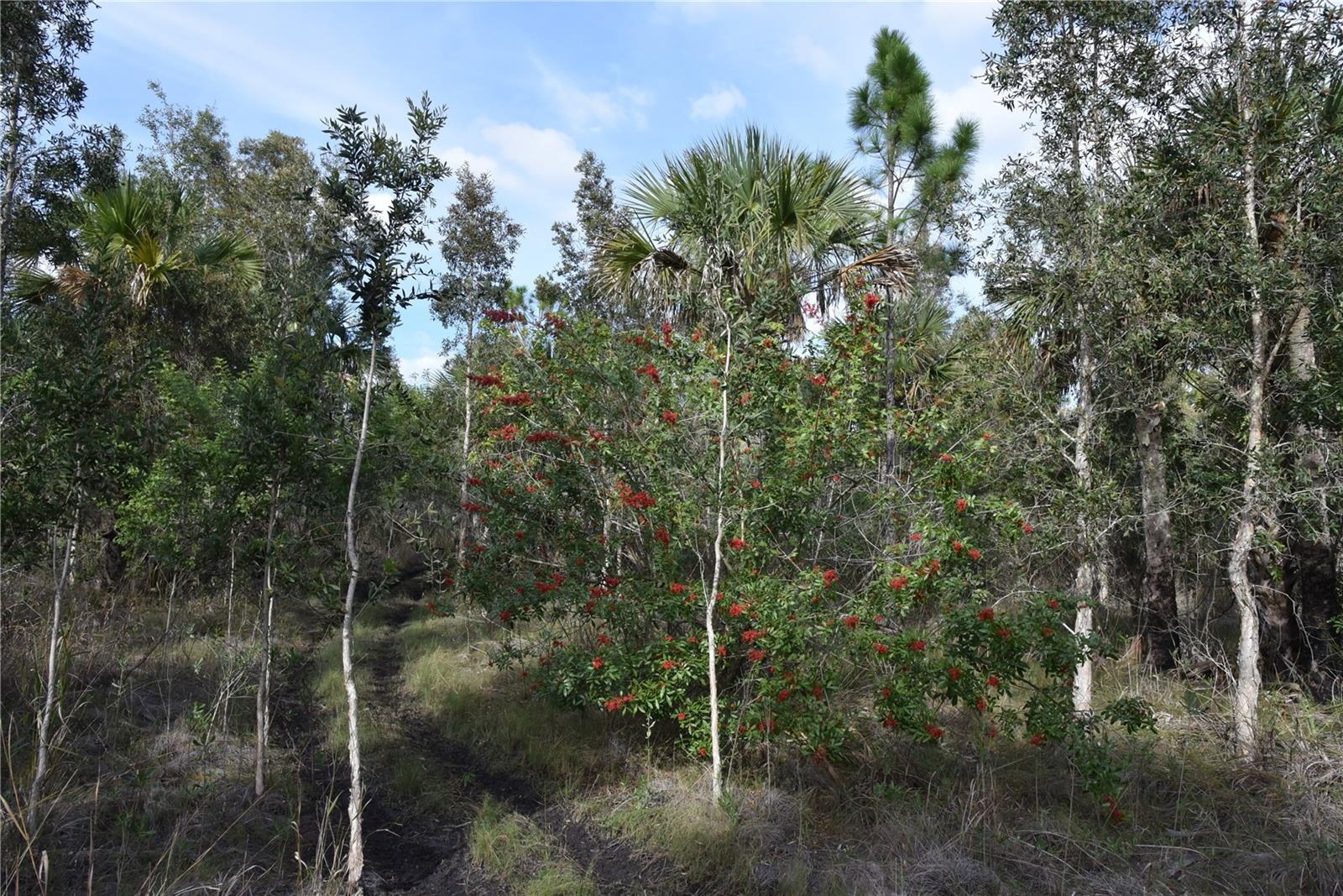 INDEPENDENCE FARMS - Land