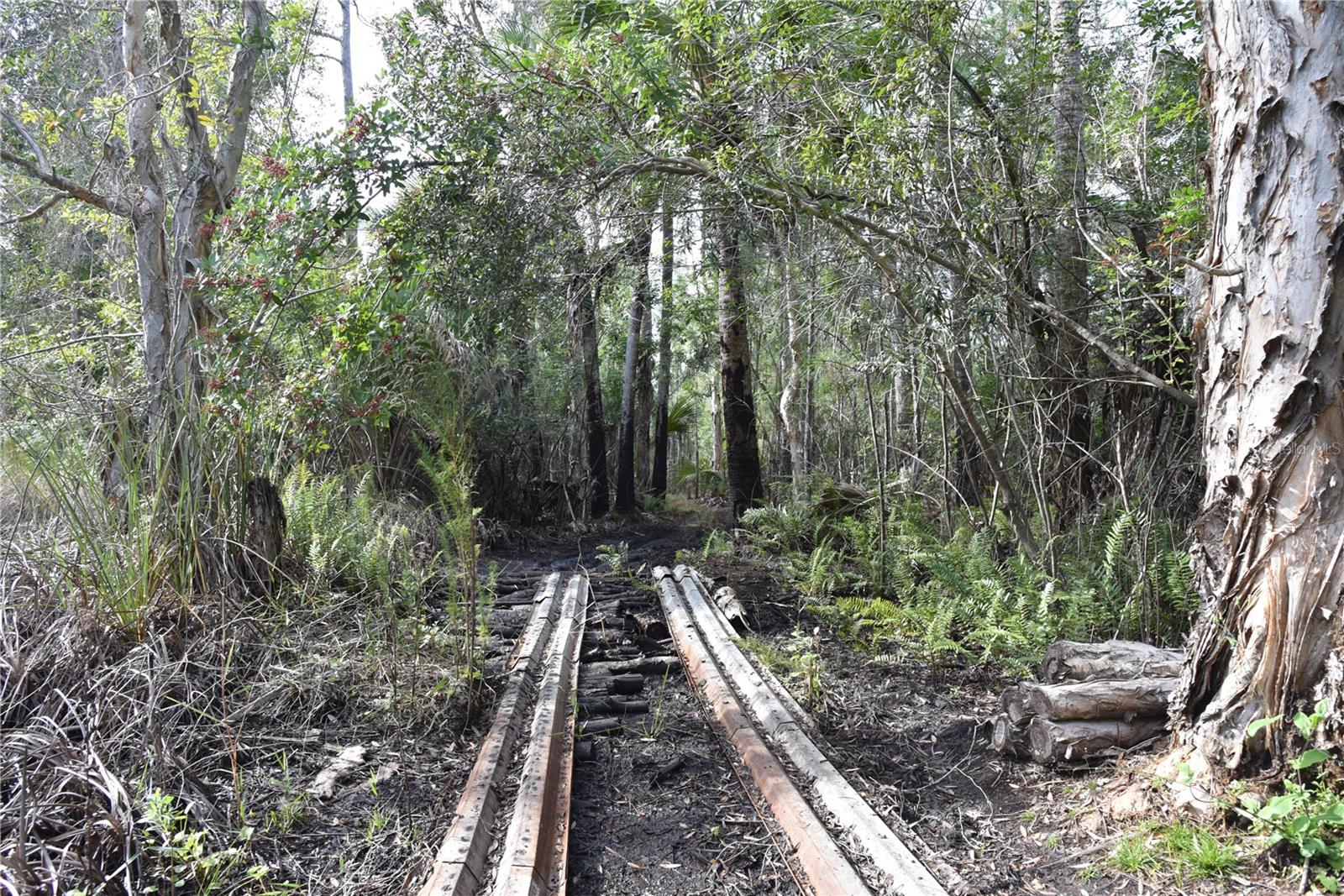 INDEPENDENCE FARMS - Land