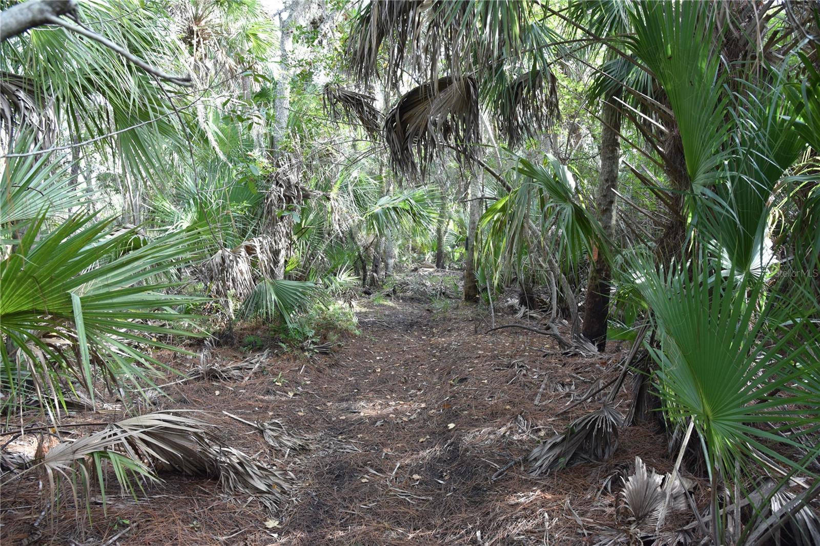 INDEPENDENCE FARMS - Land