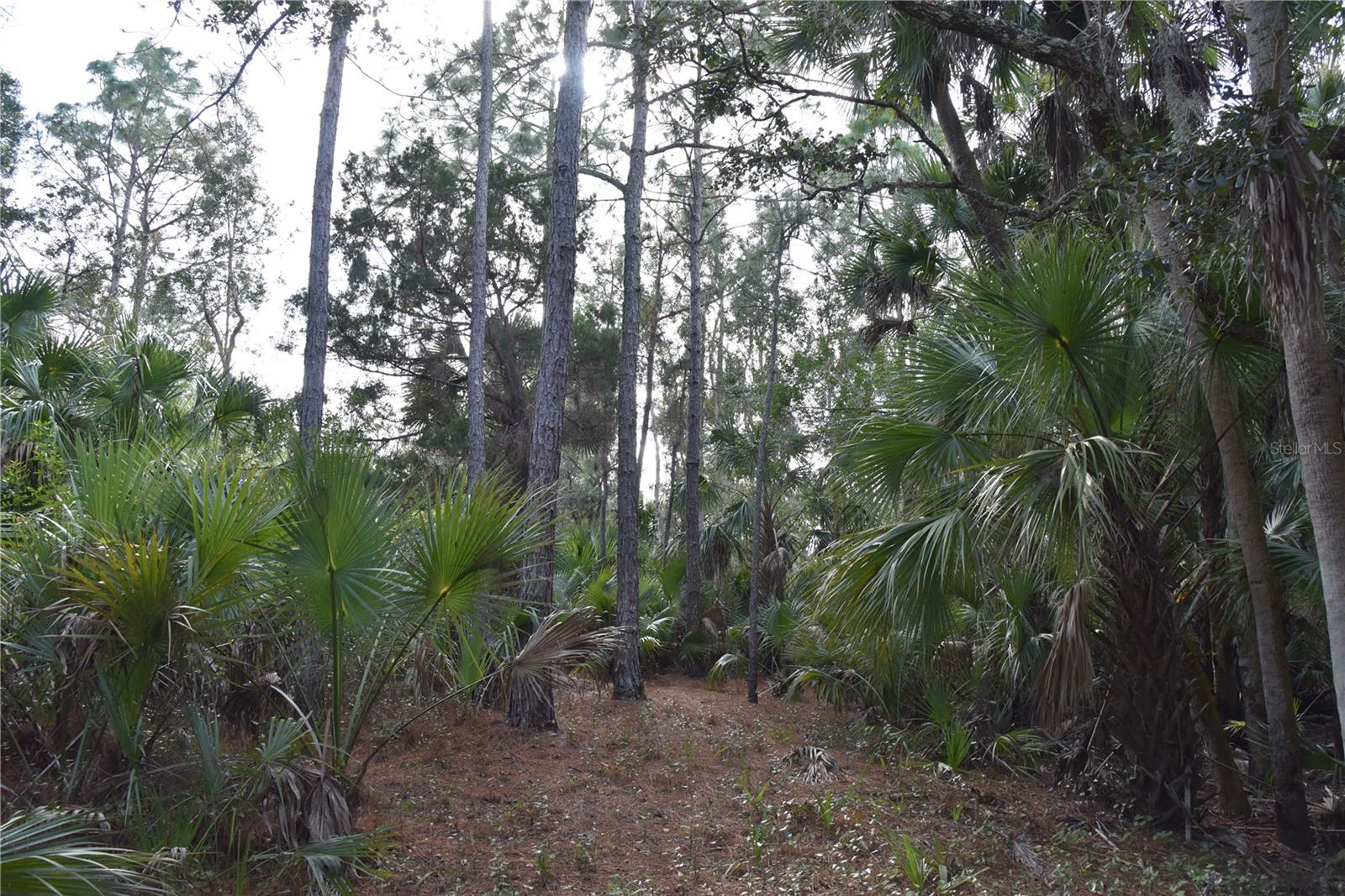 INDEPENDENCE FARMS - Land