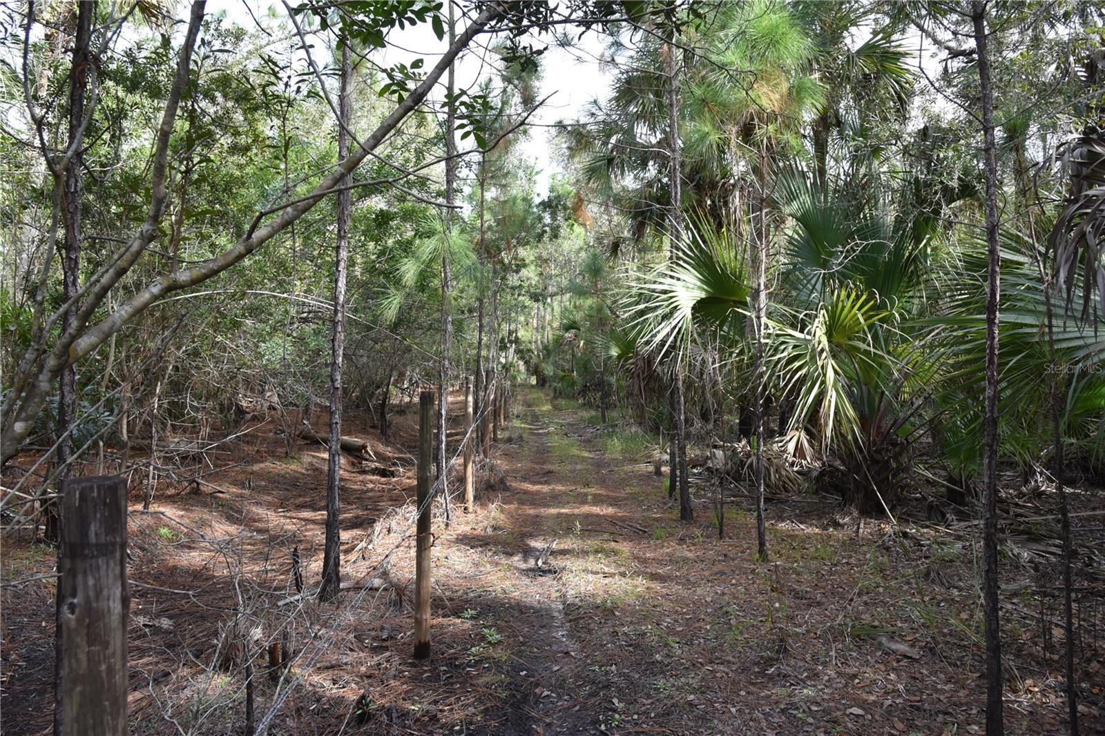 INDEPENDENCE FARMS - Land