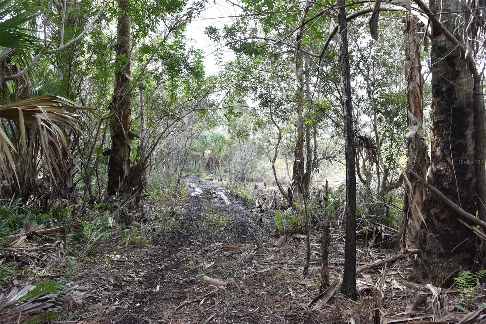 INDEPENDENCE FARMS - Land