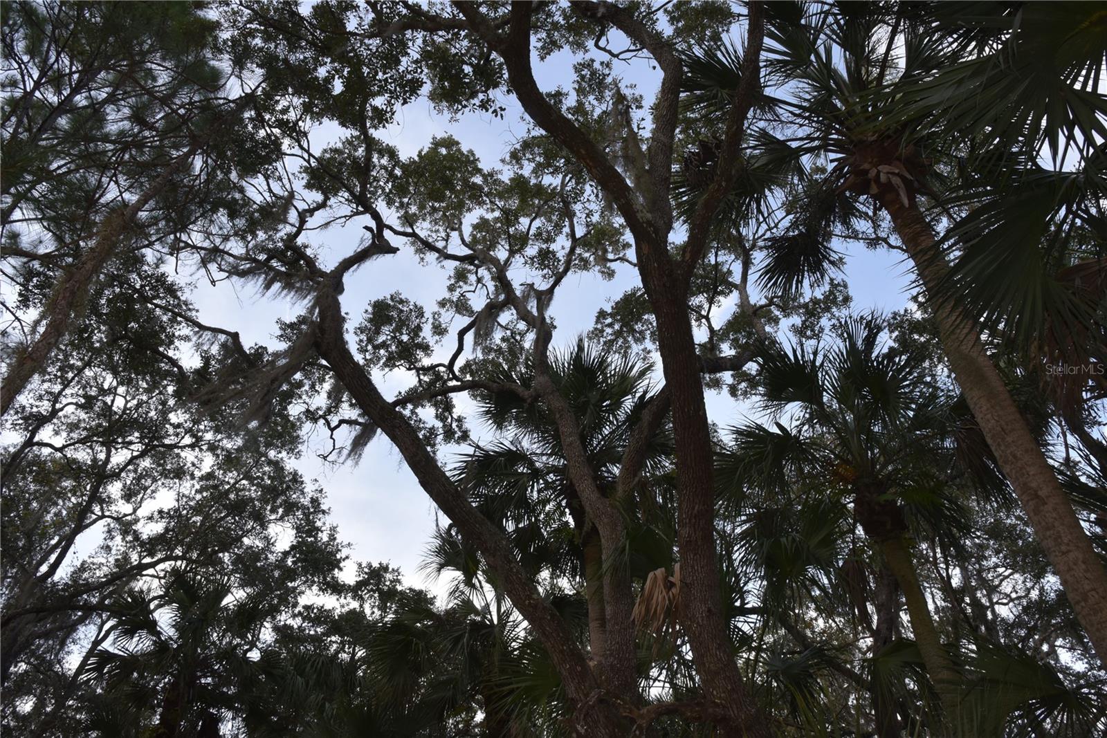 INDEPENDENCE FARMS - Land