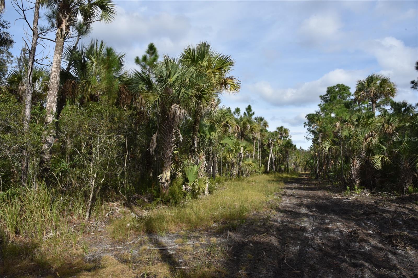 INDEPENDENCE FARMS - Land