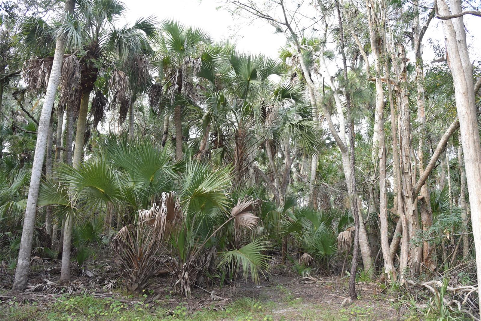 INDEPENDENCE FARMS - Land