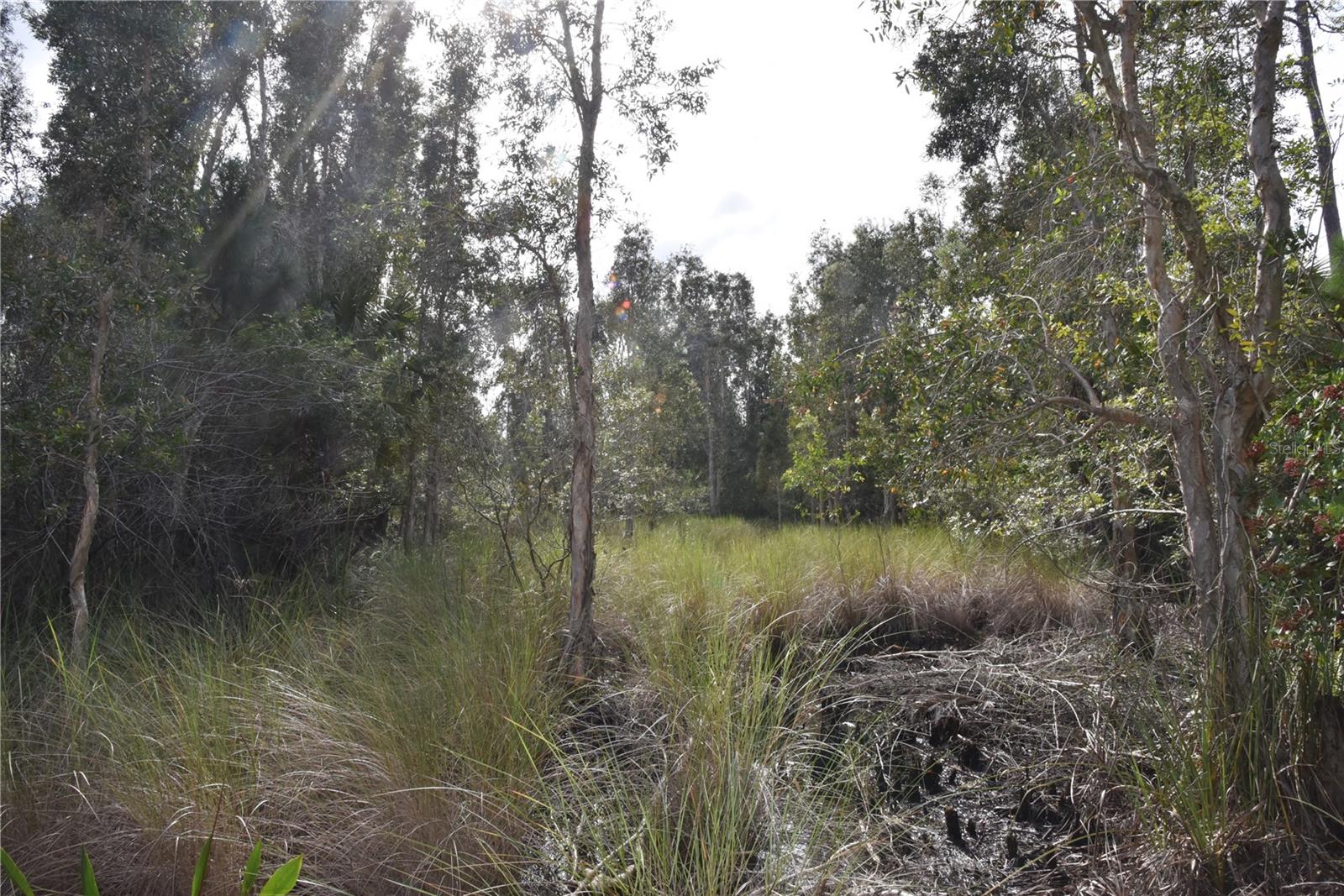 INDEPENDENCE FARMS - Land