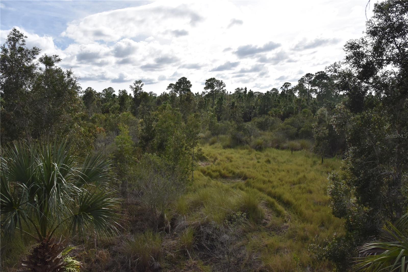 INDEPENDENCE FARMS - Land