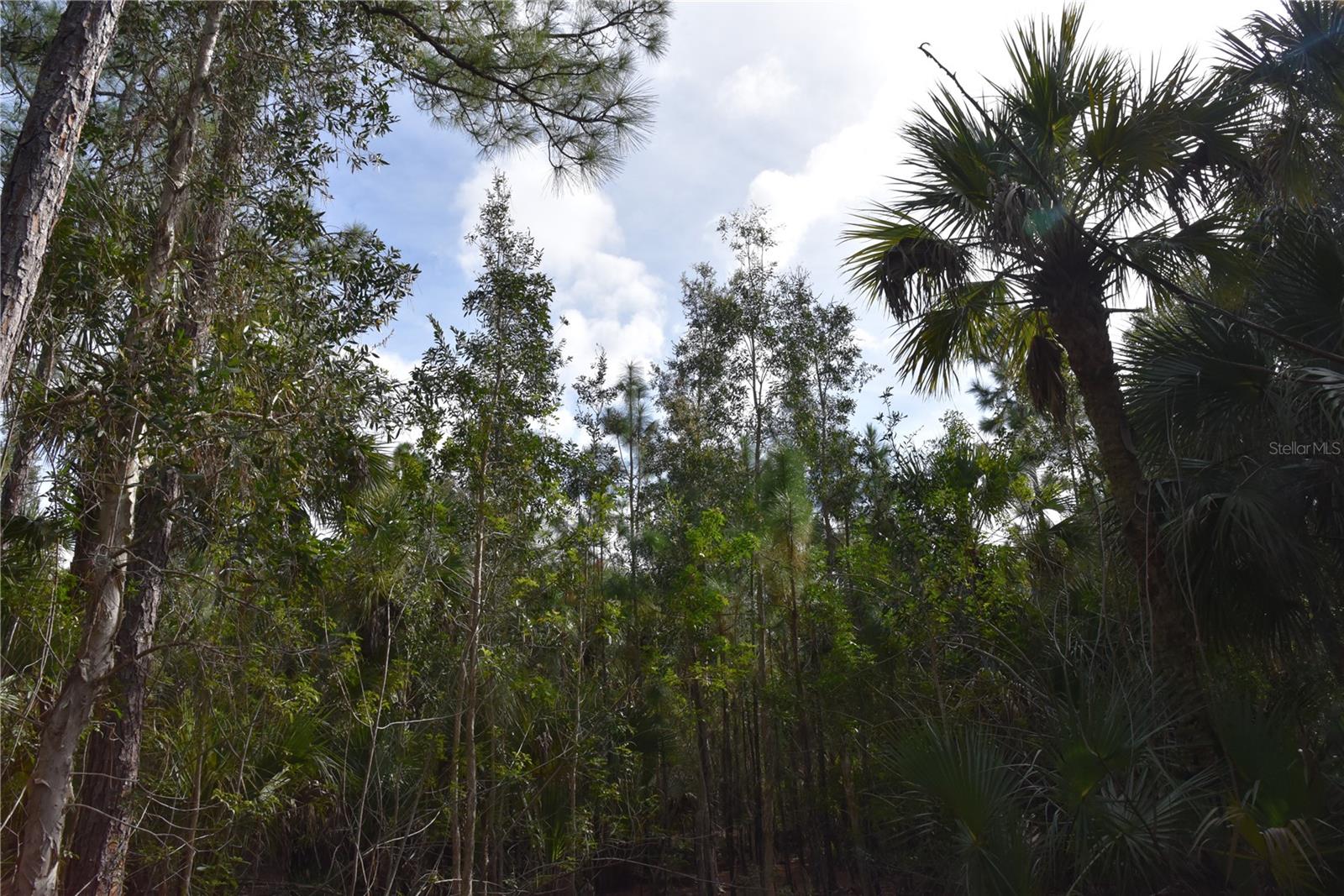 INDEPENDENCE FARMS - Land