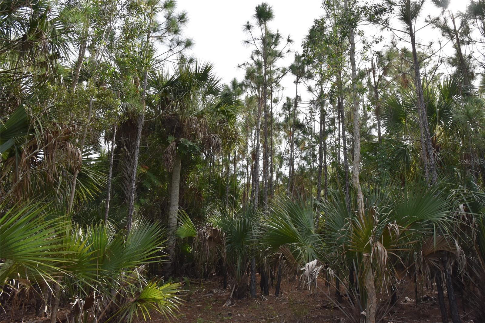 INDEPENDENCE FARMS - Land