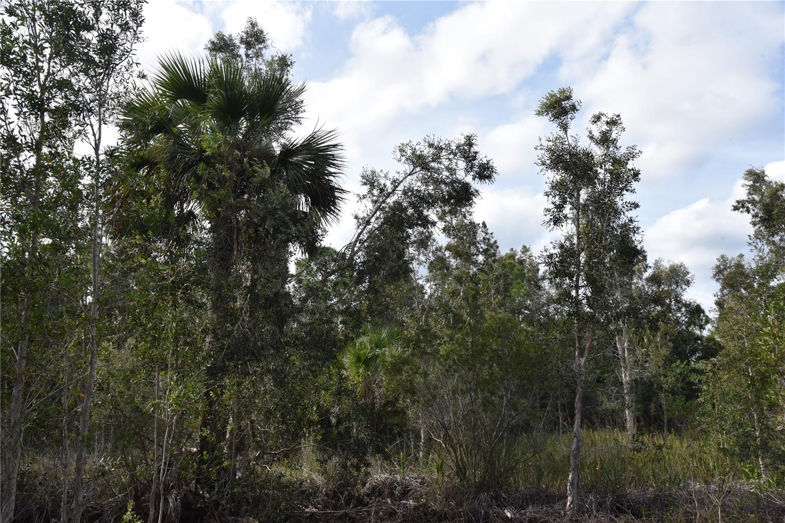 INDEPENDENCE FARMS - Land