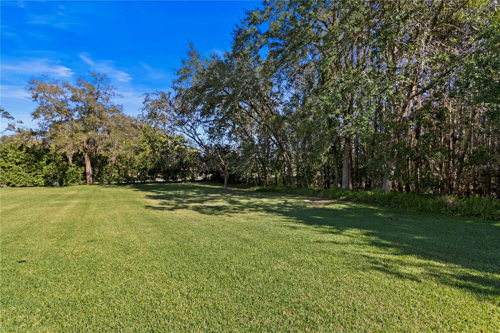 CHEVAL POLO & GOLF CL PHAS - Residential