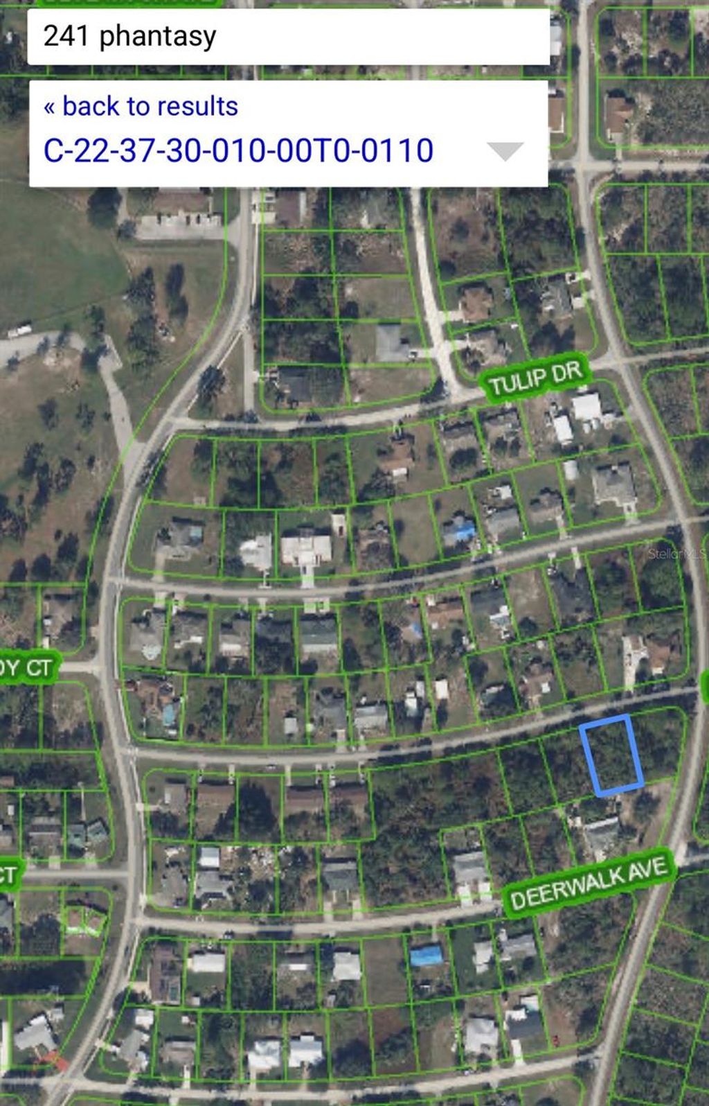 Photo of 241 Phantasy Avenue, Lake Placid, FL 33852 (MLS # O6404967)