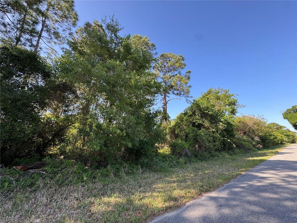 Photo of 241 Phantasy Avenue, Lake Placid, FL 33852 (MLS # O6404967)