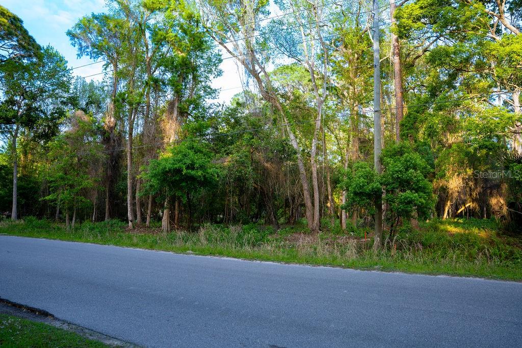 172 WHISPERING PINES ROAD