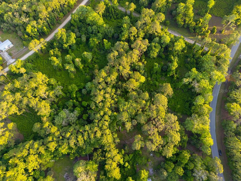 PLANTATION PINES II WHISPERING PINES SEC 1ST ADD - Land