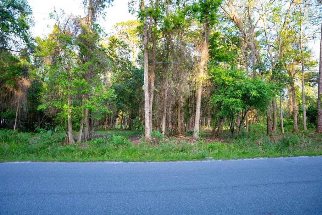 172 WHISPERING PINES ROAD