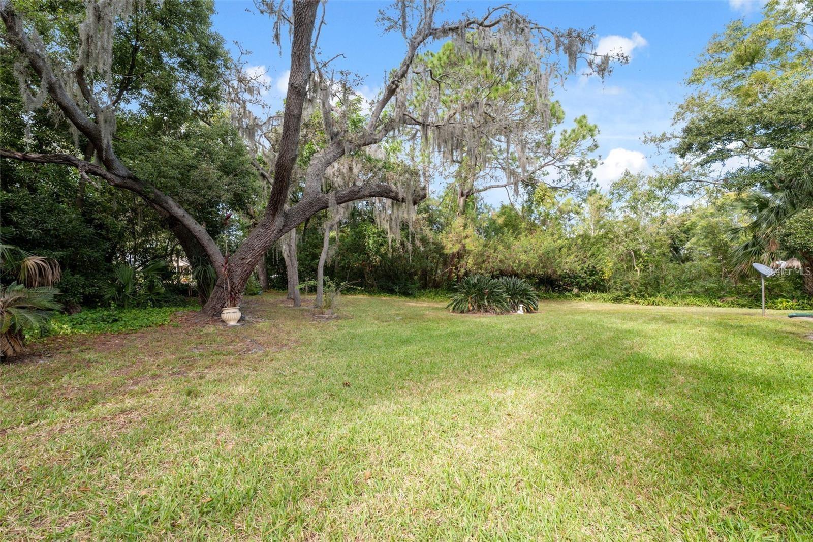BRIAR PATCH - Residential