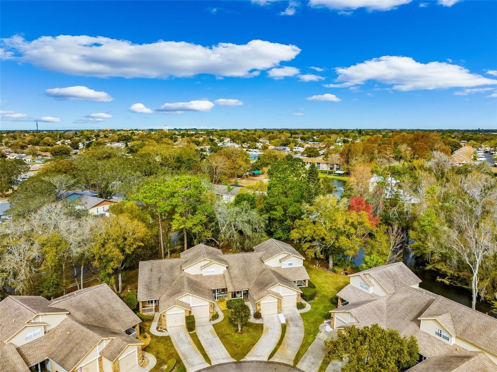 BRIAR PATCH - Residential