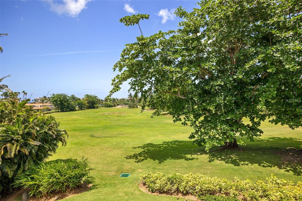 THE GREENS - Residential