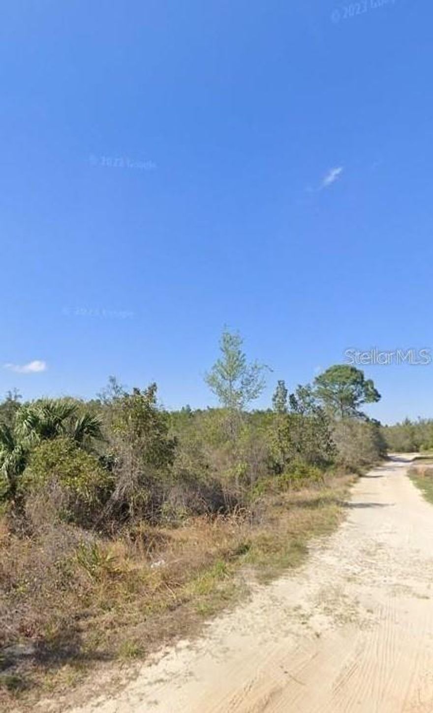 This Oversized Homesite is 1.15 Acres, Providing Privacy and Tranquility! NO HOA means Freedom and Serenity! Room for the Boat RV, Pool!!Eustis is an Charming Florida City Providing Privacy and Tranquility but within Minutes of All Amenities! Great for Investment or Rental Portfolios. Perfectly Situated in the Golden Triangle & DeLand. Just 10 minutes to Ed Stone Public Park and Boat Ramp on St Johns River for Endless Florida Water Adventures!! 15 minutes to Restaurants, Shopping Options and Groceries in DeLand. For A Quick Pick Up Utilize the Dollar General and 7 Eleven Just Moments Away. Make an Offer today!