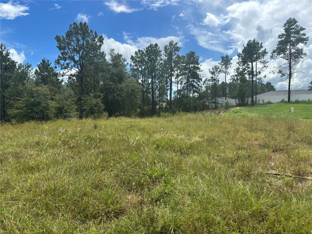 Photo of 12828 SW 86 Circle, Ocala, FL 34473 (MLS # OM731546)
