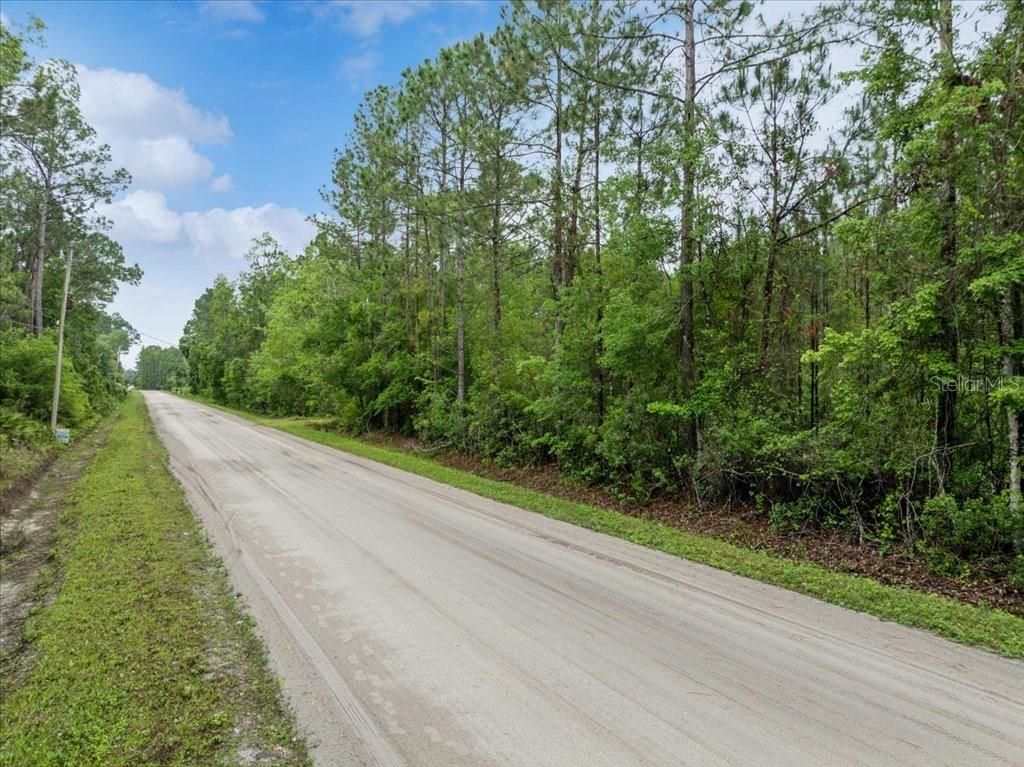 Photo of 1756 Hazelnut Street, Bunnell, FL 32110 (MLS # FC315625)